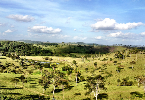 fazenda-mataverde-foto9