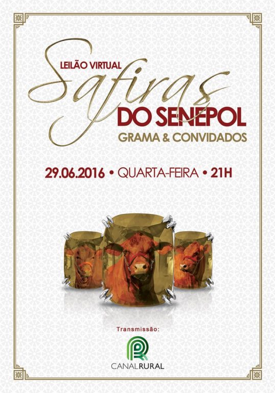 Leilão Virtual Safiras do Senepol Grama & Convidados - 29 de Junho 2016 - 21h00 - Canal Rural